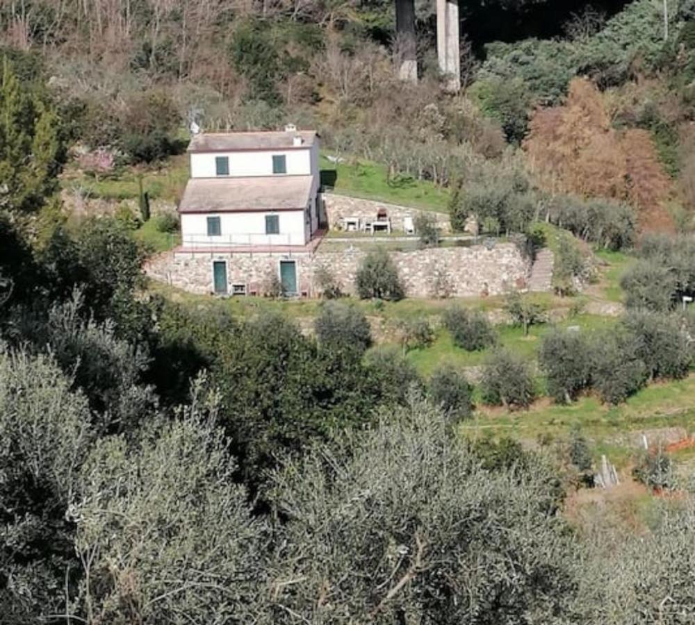 Villa Teca & Succo - Nature E Relax Sestri Levante Zewnętrze zdjęcie