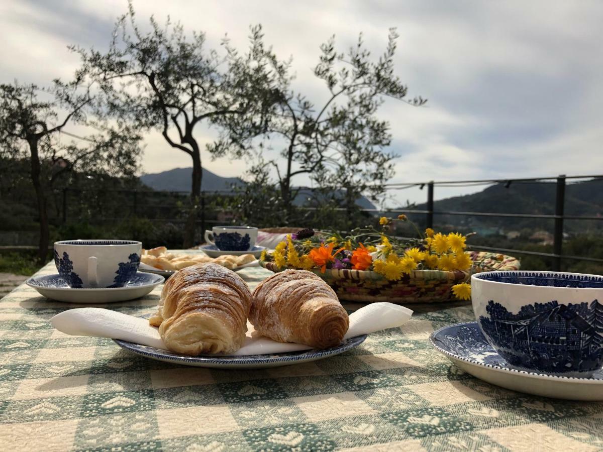 Villa Teca & Succo - Nature E Relax Sestri Levante Zewnętrze zdjęcie